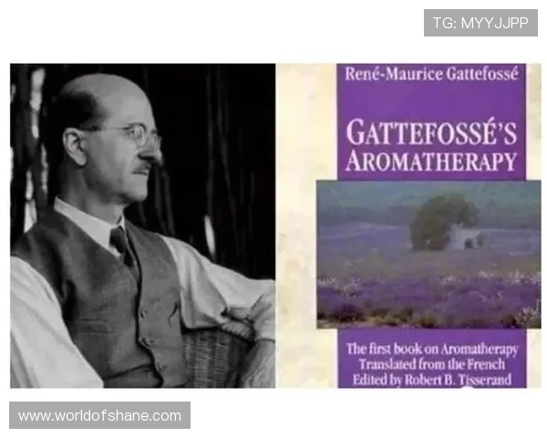 揭示尊龙5218背后的故事与发展历程