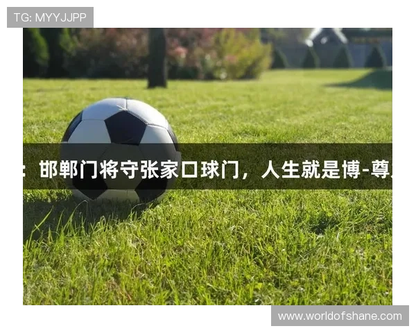 尊龙凯时人生就是博：探索游戏娱乐背后的深层人生意义与启示