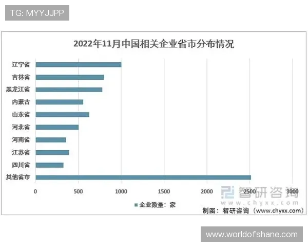 细说尊龙凯时的用户体验及其市场反馈分析