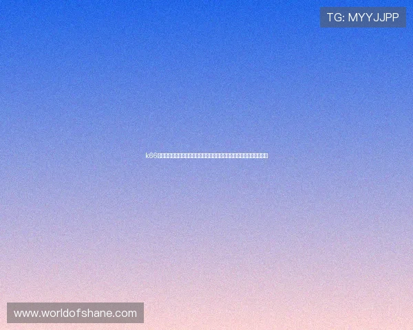 k66凯时官网世界杯球员焦点：明星球员表现、最佳阵容推荐与球员动态追踪